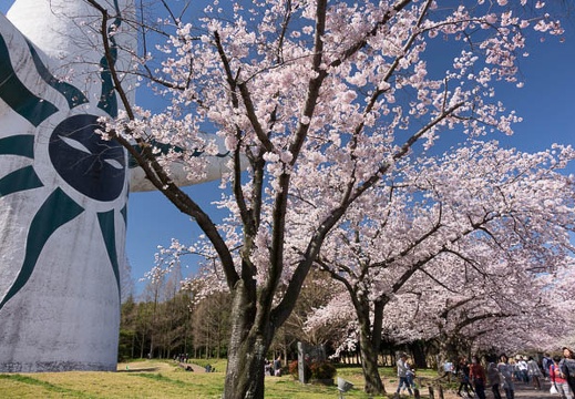 201604020945-DSC07960RX10.jpg
