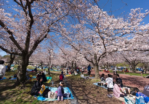 201604021002-DSC03636N5R.jpg