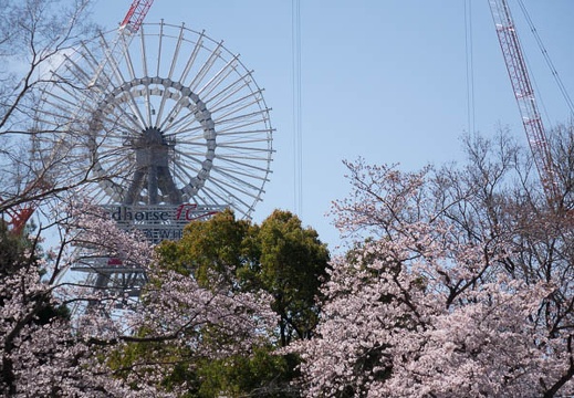 201604021003-DSC08017RX10.jpg