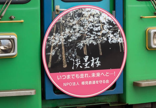 201604031149-DSC08474RX10.jpg