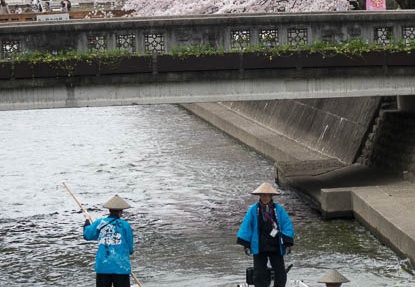 201604031209-DSC08514RX10.jpg