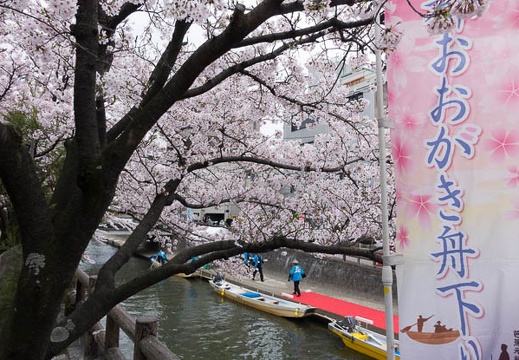 201604031212-DSC08525RX10.jpg