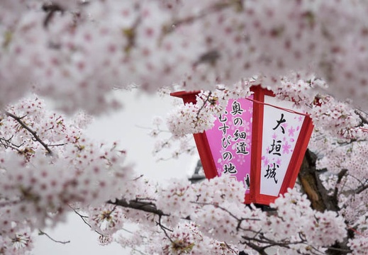 04.03 大垣