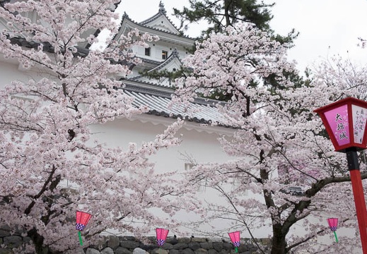 201604031241-DSC08592RX10.jpg