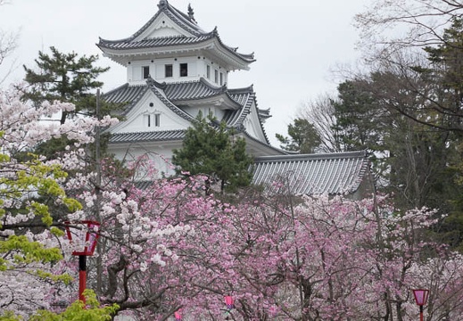 201604031255-DSC08629RX10.jpg