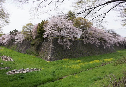 201604051327-DSC08665RX10.jpg