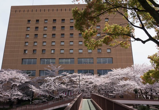 201604051345-DSC08706RX10.jpg