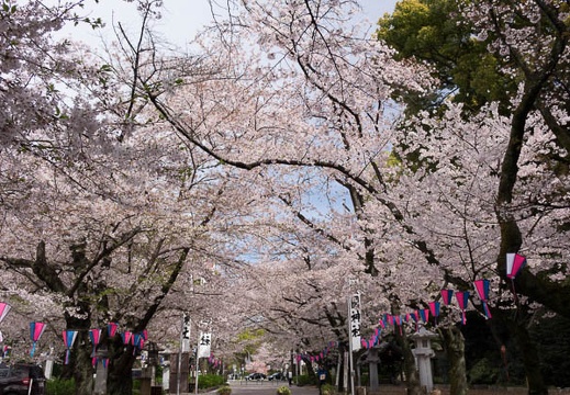 201604051401-DSC08746RX10.jpg