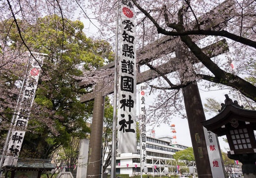 201604051412-DSC08787RX10.jpg