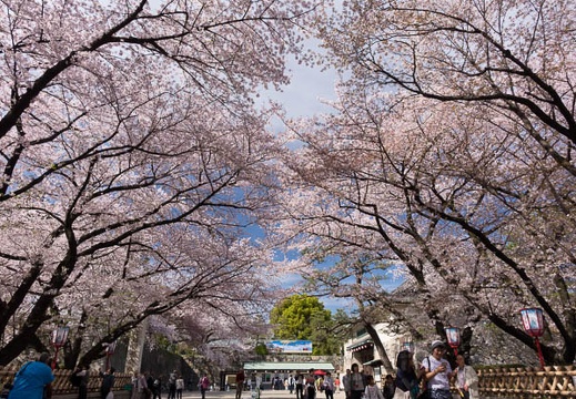 201604051439-DSC08862RX10.jpg