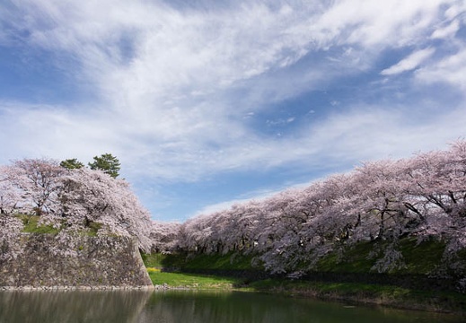 04.05 名古屋城