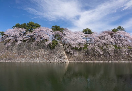 201604051451-DSC08915RX10.jpg