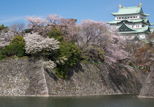 201604051454-DSC08925RX10.jpg