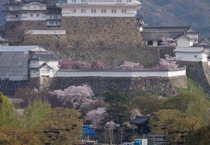 201604060811-DSC08110.jpg