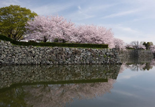 201604060836-DSC09184RX10.jpg