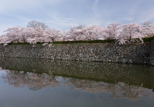201604060839-DSC09202RX10.jpg