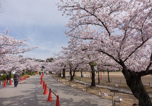 201604060843-DSC09213RX10.jpg