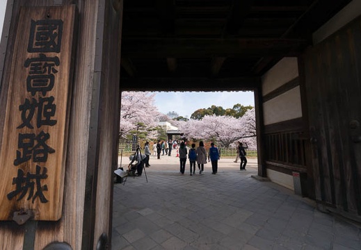 201604060849-DSC03704N5R.jpg