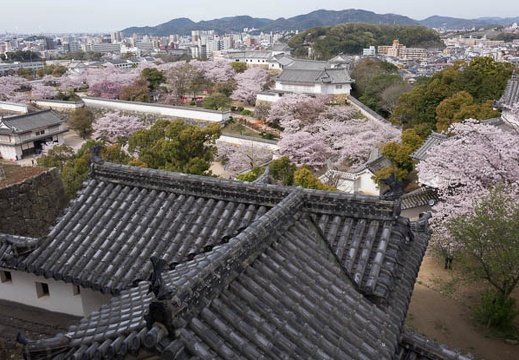 201604060904-DSC09263RX10.jpg