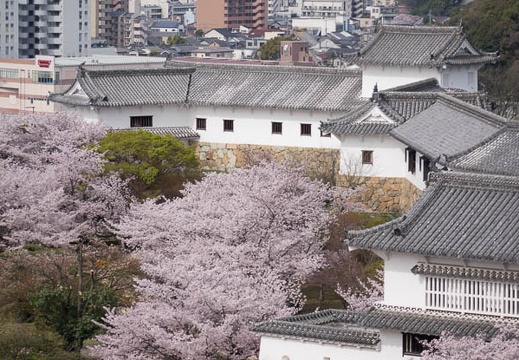 201604060904-DSC09265RX10.jpg