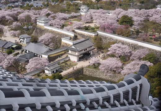 201604060921-DSC09303RX10.jpg