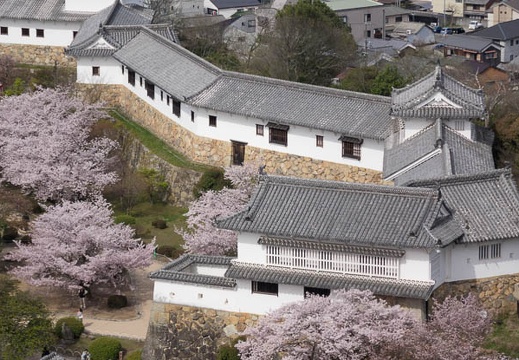 201604060921-DSC09307RX10.jpg