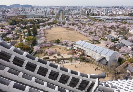 201604060922-DSC09310RX10.jpg