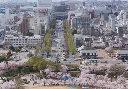 201604060926-DSC08174.jpg