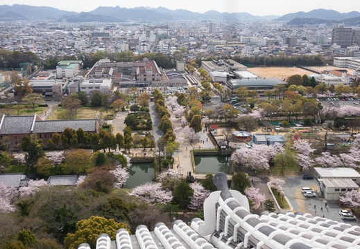 201604060929-DSC09333RX10.jpg