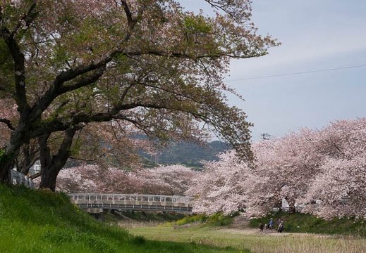 201604091129-DSC00029RX10.jpg