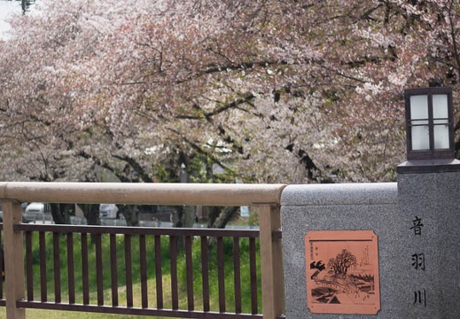 201604091217-DSC00164RX10.jpg