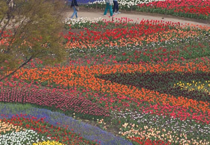 201604100838-DSC08337.jpg