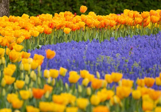 201604100857-DSC08368.jpg