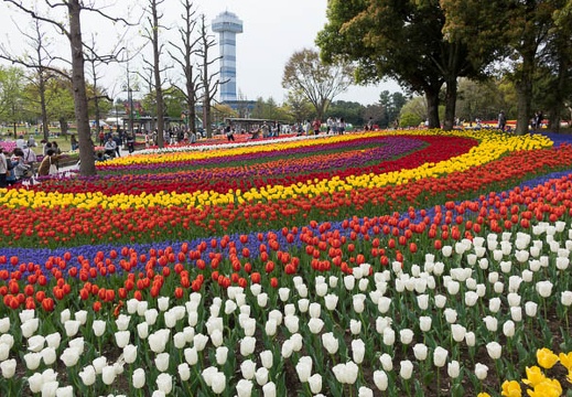 201604100932-DSC00455RX10.jpg