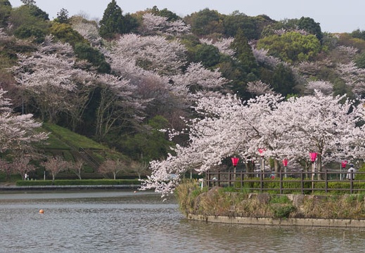 201604110742-DSC08526.jpg
