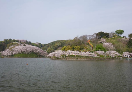 201604110746-DSC00594RX10.jpg