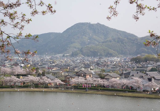 201604110804-DSC00631RX10.jpg