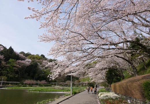 201604110841-DSC00733RX10.jpg