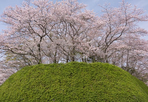 201604110842-DSC00738RX10.jpg