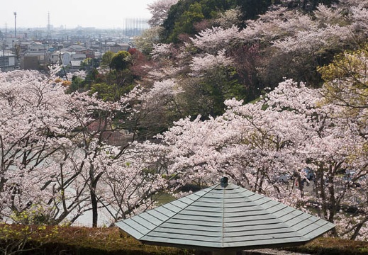 201604110913-DSC00806RX10.jpg