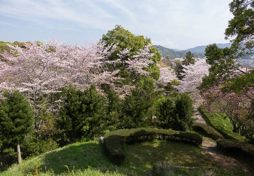201604110926-DSC00842RX10.jpg
