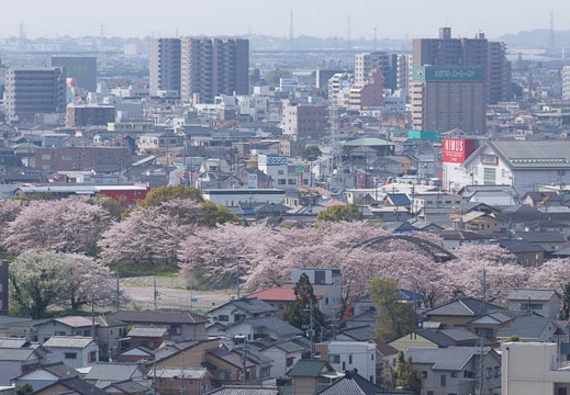 201604110930-DSC08645.jpg