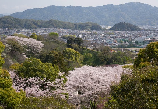 201604110934-DSC00856RX10.jpg
