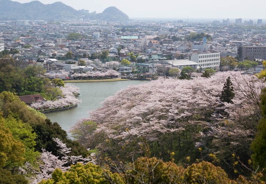 04.11 静岡