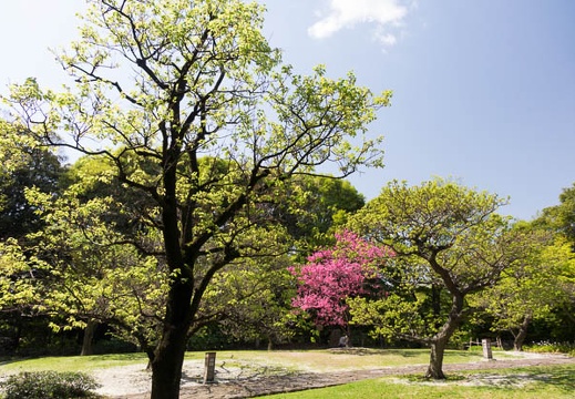 201604141350-DSC01154RX10.jpg
