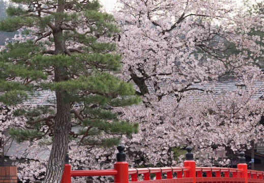 04.18 高山