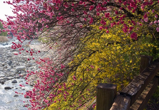 04.20 昼神温泉