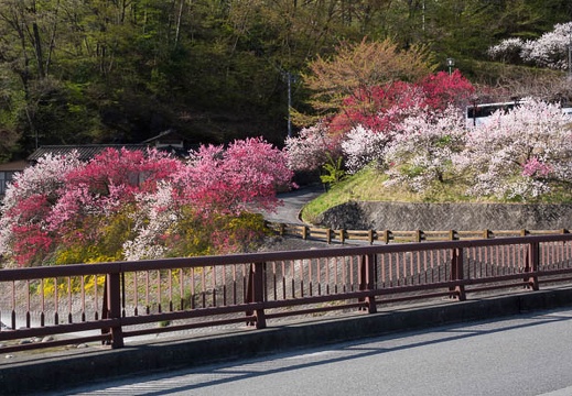 201604200807-DSC01795RX10.jpg