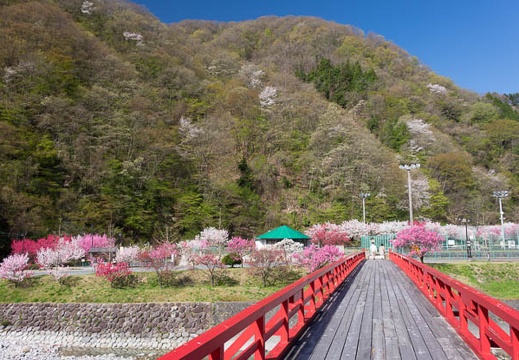 201604200826-DSC01818RX10.jpg