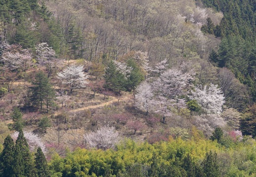 201604200934-DSC08969.jpg